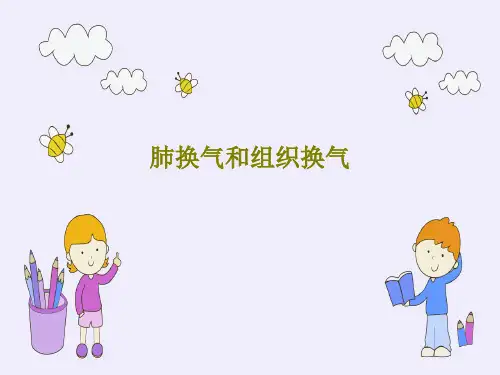 肺换气和组织换气PPT47页