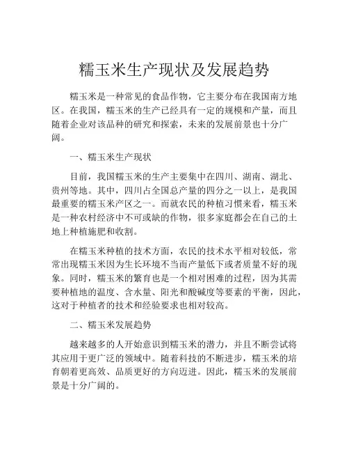 糯玉米生产现状及发展趋势