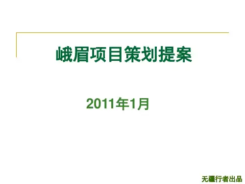 峨眉小户型项目提案1月PPT课件