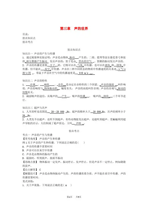 中考物理总复习第三章声的世界
