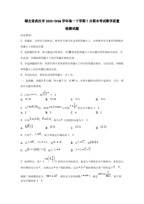 湖北省武汉市2023-2024学年高一下学期7月期末考试数学质量检测试题(含答案)