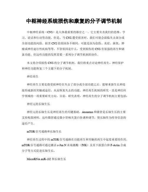 中枢神经系统损伤和康复的分子调节机制