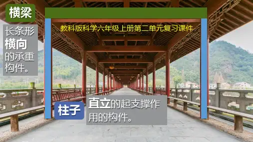 教科版科学六年级上册第二单元复习课件