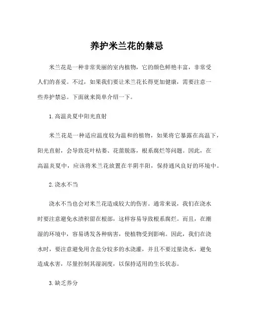 养护米兰花的禁忌