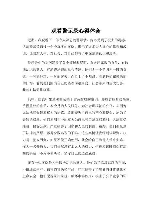 观看警示录心得体会