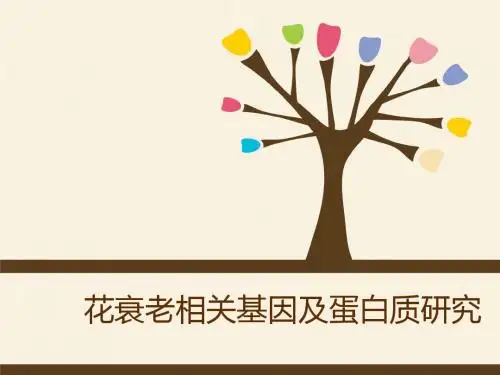 花衰老相关基因和蛋白