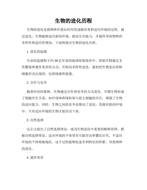 生物的进化历程