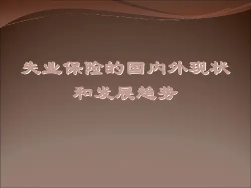 失业保险的国内外现状69页PPT