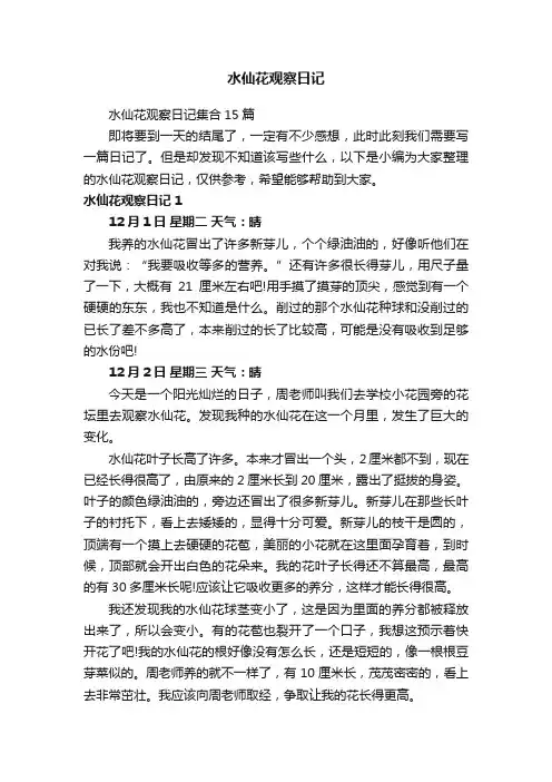 水仙花观察日记