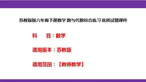 苏教版版六年级下册数学 数与代数综合练习 优质试题课件