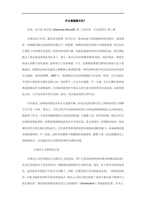 什么是视觉文化