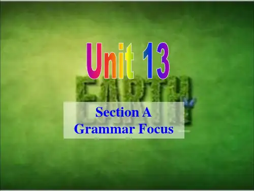 人教版新目标 九年级 Unit 13  Grammar Focus-1(共64张PPT)