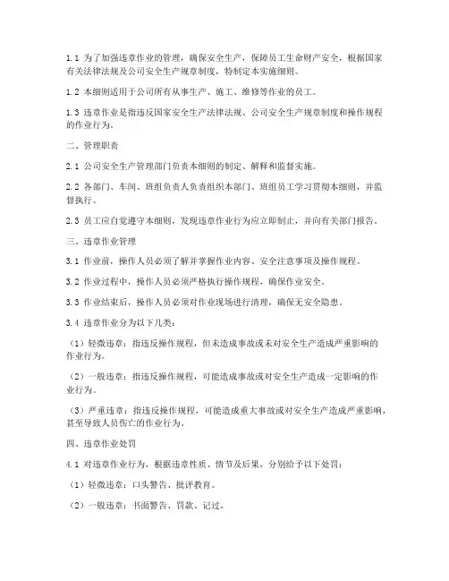 违章作业管理实施细则