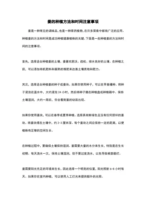 姜的种植方法和时间注意事项