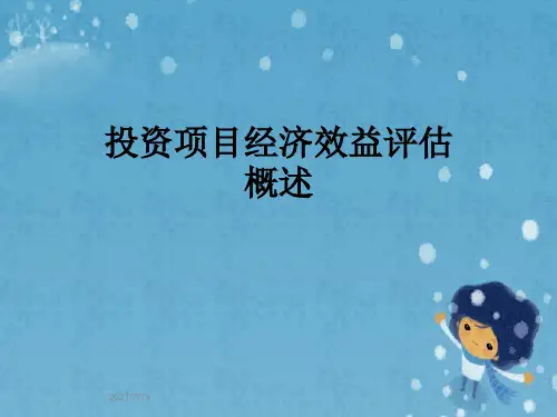 投资项目经济效益评估概述