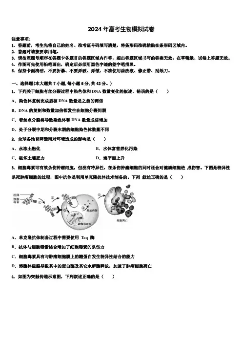 山东省菏泽市2024届高三第一次模拟考试生物试卷含解析