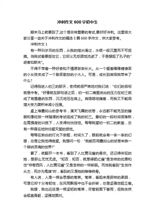 冲刺作文600字初中生