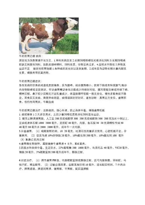 牛的前胃迟缓治疗