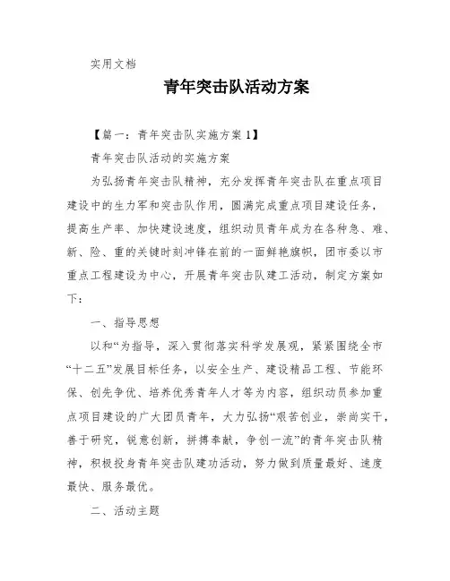 青年突击队活动方案