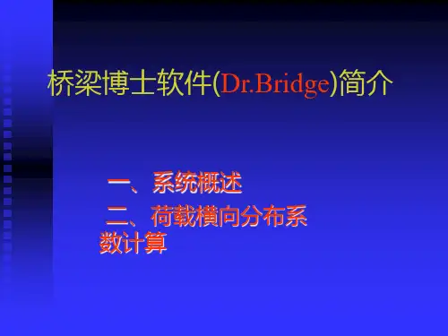 桥梁博士简介