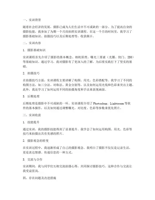 拍照实训报告总结范文