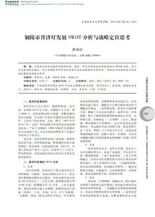 铜陵市普济圩发展SWOT分析与战略定位思考