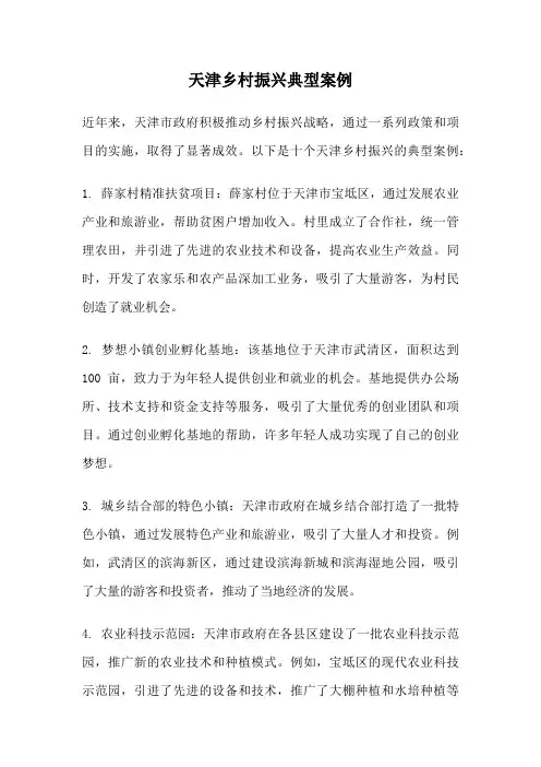 天津乡村振兴典型案例