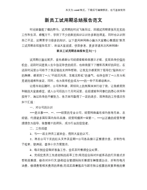 2018年新员工试用期总结范文模板报告学习范文参考范文