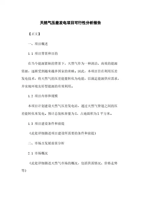 天然气压差发电项目可行性分析报告