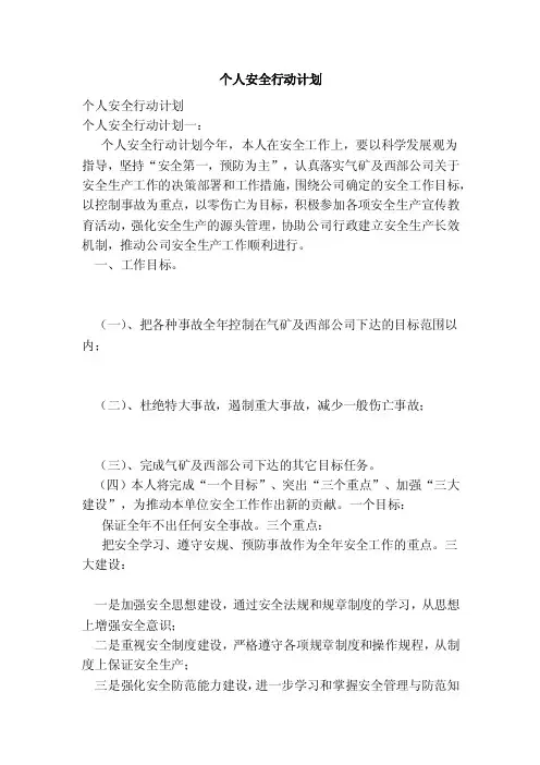 个人安全行动计划（范本）