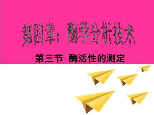 酶活性的测定PPT课件