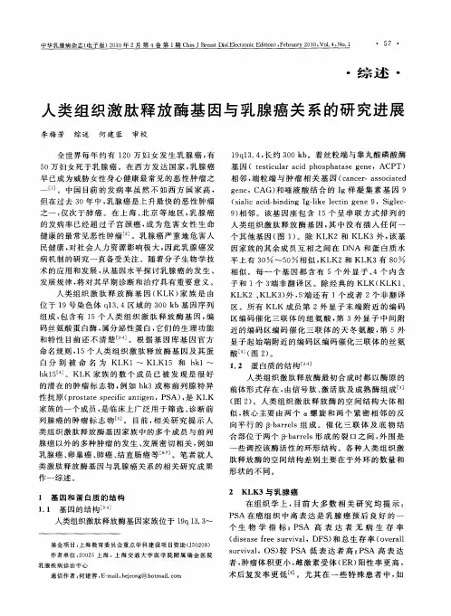 人类组织激肽释放酶基因与乳腺癌关系的研究进展