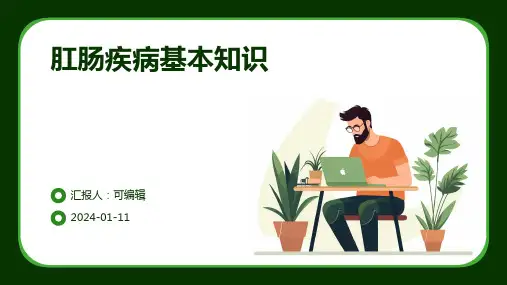 肛肠疾病基本知识PPT课件