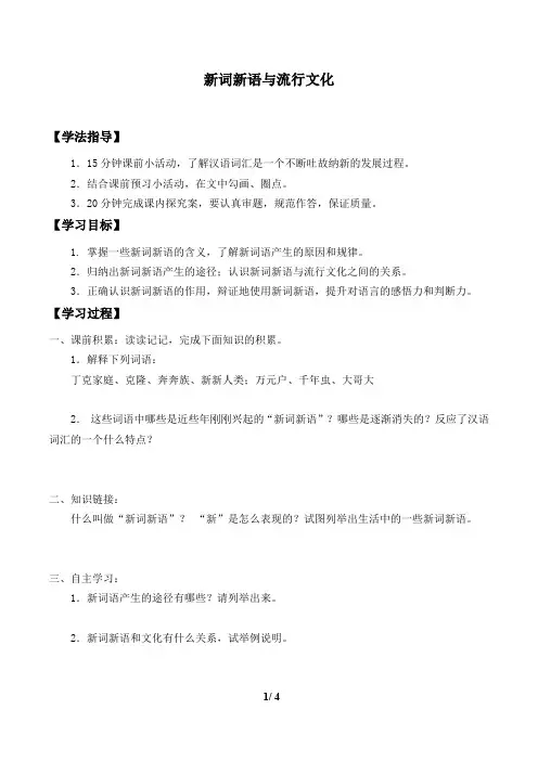 人教版必修1 语文：新词新语与流行文化  学案1