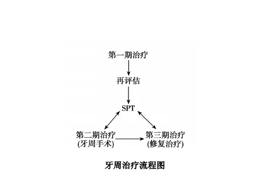 牙 周 病 学 第四版 11