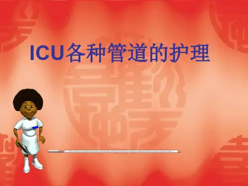各种导管的护理PPT课件