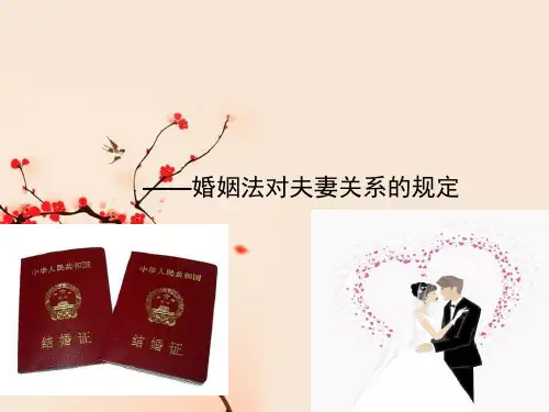 衡水中学高中政治人教版选修五生活中的法律常识专题5.3夫妻间的人身关系和财产关系 课件(共24张PPT)