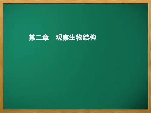 彭阳县五中七年级生物上册 1.2.1 细胞的结构和功能第1课时 植物细胞的结构和功能课件 新版版