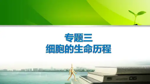 高三二轮复习专题3细胞的生命历程课件