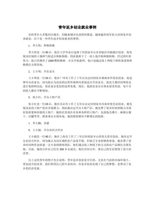 青年返乡创业就业事例 2