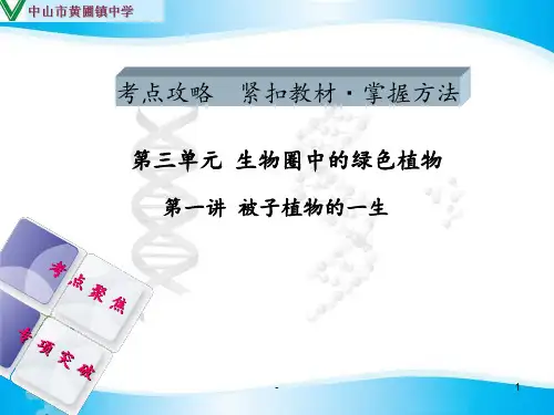 广东省人教版中考复习——第三单元-生物圈中的绿色植物-第一讲-被子植物的一生PPT课件