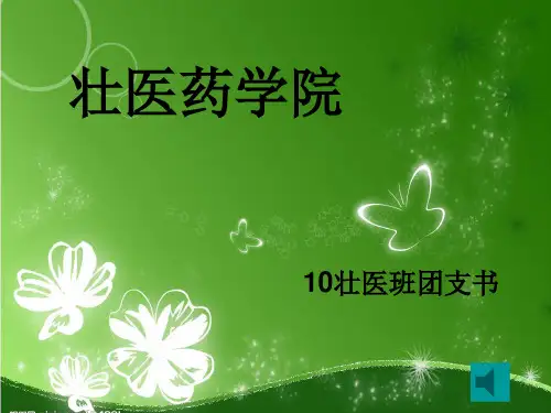 我的十佳团支书pk材料