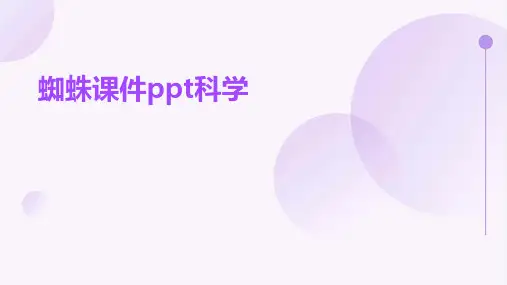 蜘蛛课件ppt科学