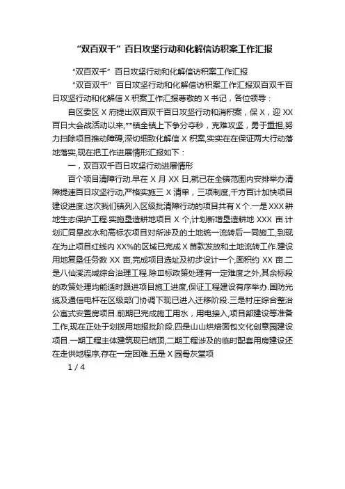 “双百双千”百日攻坚行动和化解信访积案工作汇报