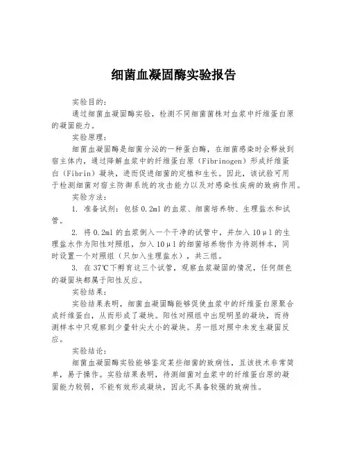细菌血凝固酶实验报告