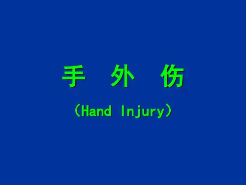 手外伤PPT课件