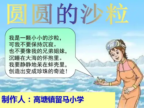52圆圆的沙粒PPT课件