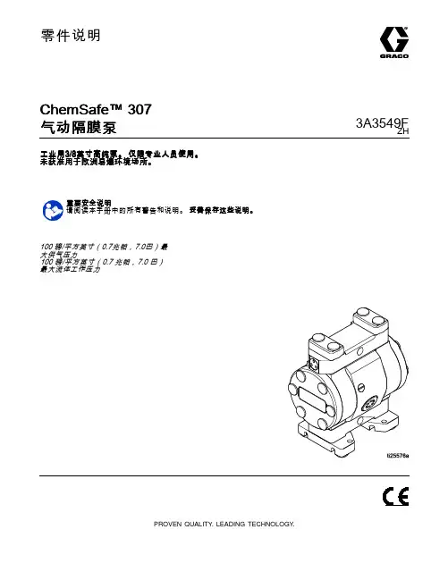 ChemSafe 307气动隔膜泵3A3549F说明书