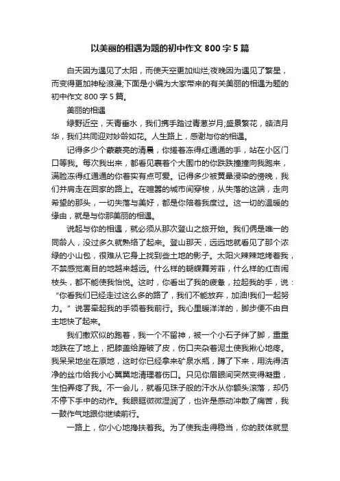 以美丽的相遇为题的初中作文800字5篇