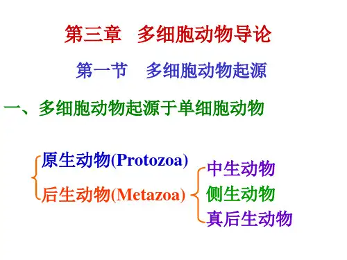 多细胞起源